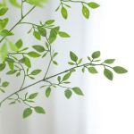 5916ffcf166acca4bca43df9fa28dce