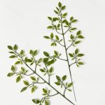 c38bf82ec6e852013777d116e63a607