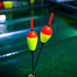 f2b592c8239adc575a6a6f64a5b843a-300×225